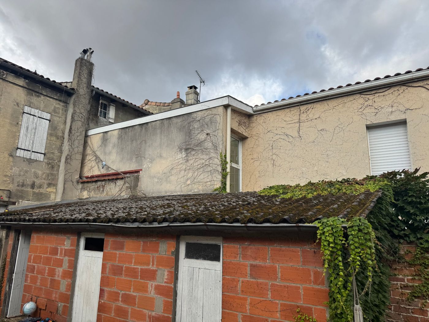 Ancienne toiture couverte de mousse et de lierre